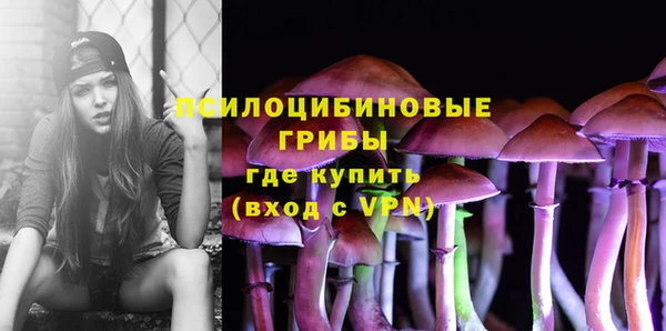 индика Рославль