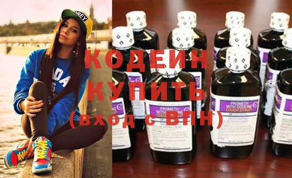 индика Рославль