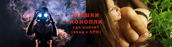 индика Рославль