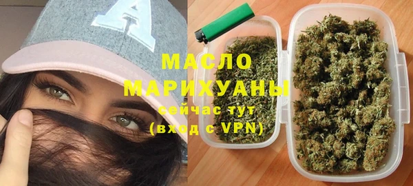 индика Рославль