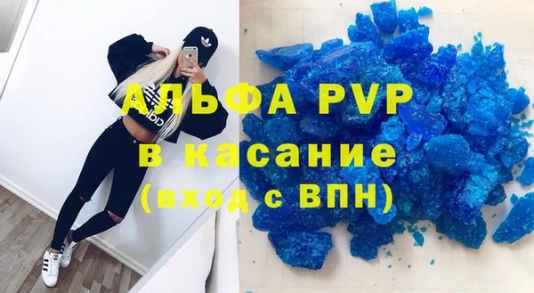 индика Рославль