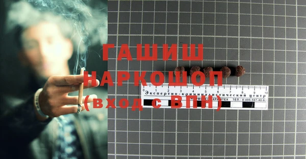 индика Рославль