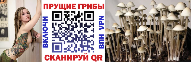 Псилоцибиновые грибы прущие грибы  Купить  Лагань 